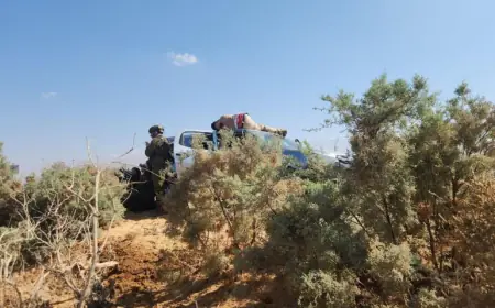 إصابة جنديين إسرائيليين بمنطقة البحر الميت