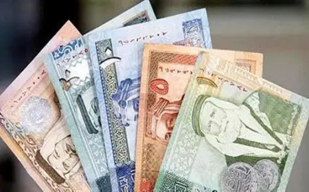 مسؤول سابق : الدينار الأردني أولوية .. وتحديات الأردن ليست خارجية فقط