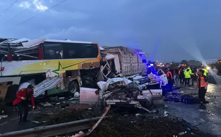 50 جريحا منهم 10 بحالة خطيرة إثر حادث دهس في غليلوت