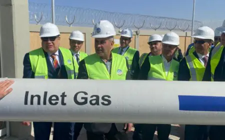 افتتاح المحطة الرئيسية لضخ الغاز الطبيعي في القسطل الصناعية