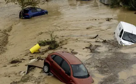 الأردن يعزي إسبانيا بضحايا الفيضانات في فالنسيا