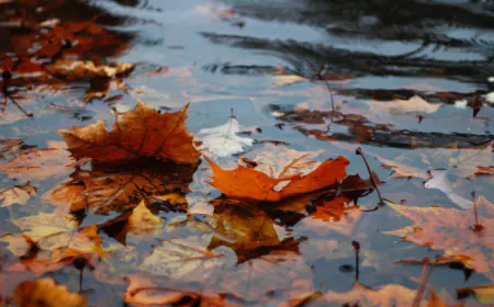 زخات مطرية مساء اليوم السبت (التفاصيل)