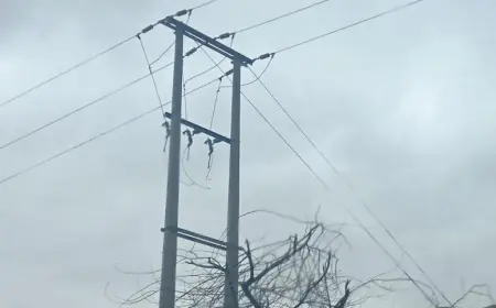 الأشغال: تكثيف الرقابة للحد من الاعتداء على إنارة الطرق