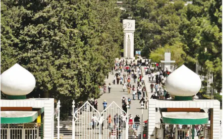 بدء تقديم الطلبات الإلكترونية للاستفادة من البعثات والمنح والقروض الداخلية (رابط)