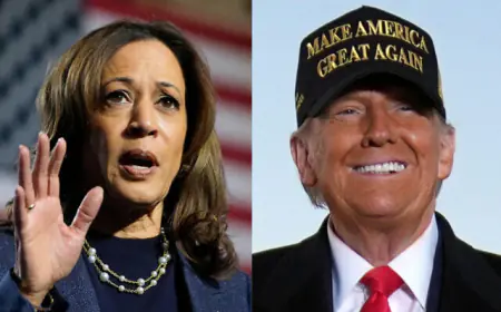 قبل فتح صناديق الاقتراع.. أين تقف (الولايات) المتأرجحة من ترامب وهاريس؟