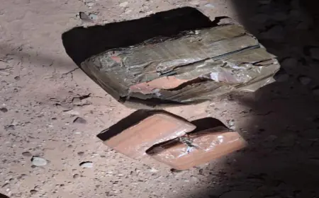 الجيش: إحباط محاولة تهريب مواد مخدرة