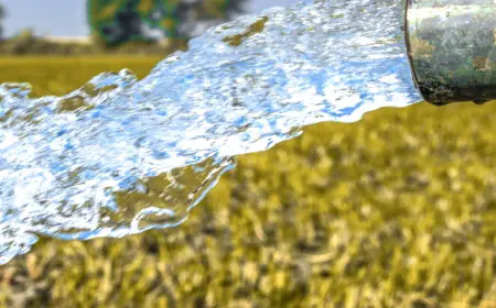 الحكومة: التفاوض (جارٍ) على الشروط التعاقدية لمشروع الناقل الوطني للمياه