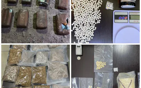 بالصور..  القبض على 23 تاجراً ومروجاً ومهرباً للمخدرات