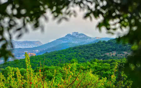 يقع على مساحة 140 دونما.. مشروع متنزه عجلون الوطني (التفاصيل)