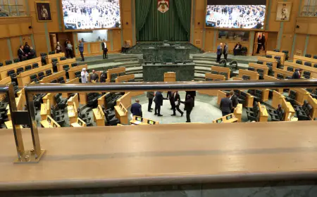 مشادة كلامية بين الصفدي والنواصرة