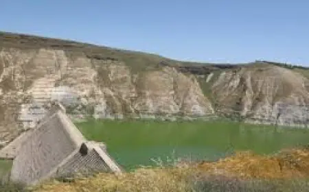 الفرجات يكتب: الأمل في حل مشكلة المياه الحدودية بين الأردن وسوريا في ضوء التطورات السياسية