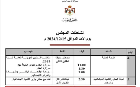 (مالية النواب) تواصل مناقشة مشروع قانون الموازنة العامة