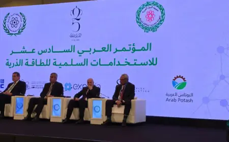 طوقان: ندرس استخدام الطاقة النووية في تحلية وضخ المياه