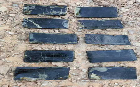 المنطقة العسكرية الجنوبية تحبط محاولة تهريب بواسطة طائرة مسيرة على واجهتها الغربية