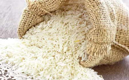 الغذاء والدواء: منتج الأرز رقم 1121 غير مصنع من البلاستيك