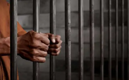 العدل:  تنفيذ 3478 عقوبة بديلة عن الحبس منذ بداية العام الحالي