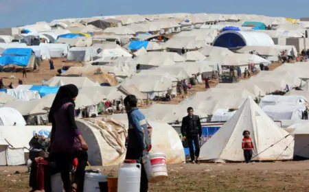 أممي يكشف عدد اللاجئين العائدين إلى سوريا من البلدان المجاورة