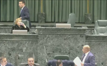 الصفدي يرفع جلسة مناقشة تقرير ديوان المحاسبة بسبب مغادرة بعض الوزراء