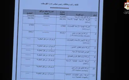 بالفيديو.. النائب المراعية يكشف  بالأرقام عن راتب ومكافآت رئيس مجلس إدارة الفوسفات