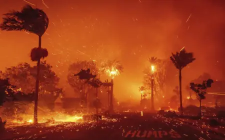 150 مليار دولار خسائر اقتصادية جراء حرائق كاليفورنيا