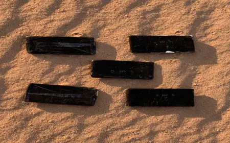 الجيش يحبط محاولة تهريب كمية من المواد المخدّرة