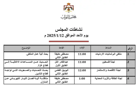 ( لجنة الطاقة) تبحث آلية فصل التيار الكهربائي عن المنازل