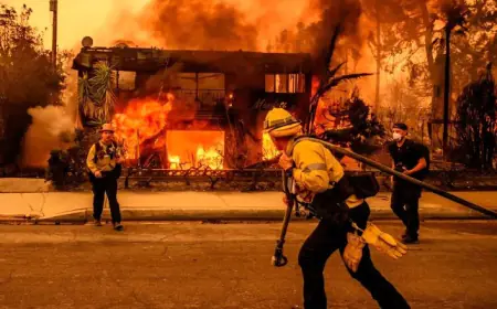 خسائر حرائق كاليفورنيا.. تتجاوز الـ 250 مليار دولار