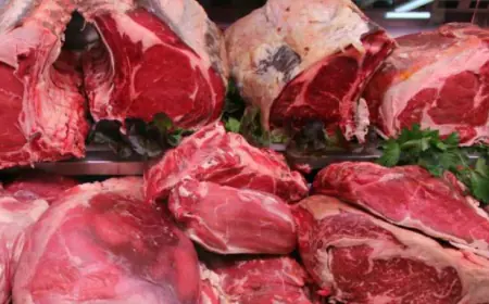 ضبط 25 ألف كيلو لحوم منتهية الصلاحية (التفاصيل)