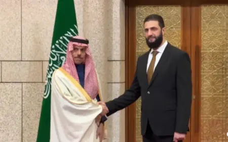 بالفيديو.. أحمد الشرع يستقبل بن فرحان في قصر الشعب