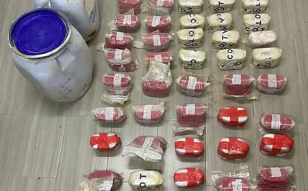 القبض على 17 مروجا وتاجرا ومطلوبا بقضايا مخدرات