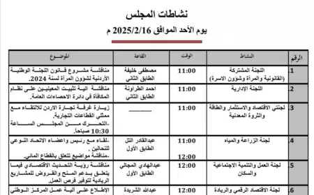 مناقشة آلية تثبيت المعينين على نظام المكافأة في دائرة الإحصاءات العامة.. على طاولة النواب