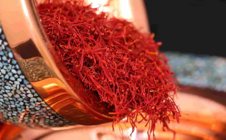 الإمارات تعتزم إنشاء أحد أكبر مراكز معالجة الزعفران في الخليج