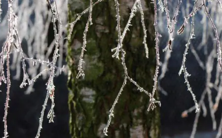 حالة الطقس في الأردن حتى يوم الثلاثاء