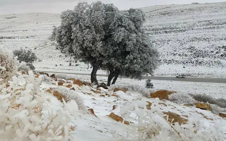 الشوبك تُسجل أقل درجات حرارة في الأردن