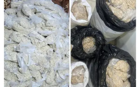 ضبط 1.1 مليون حبة مخدرة و23 تاجرا ومهربا بالتعاون بين الأردن ومصر