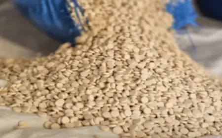 سوريا تحبط تهريب 100 ألف حبة كبتاغون إلى الأردن