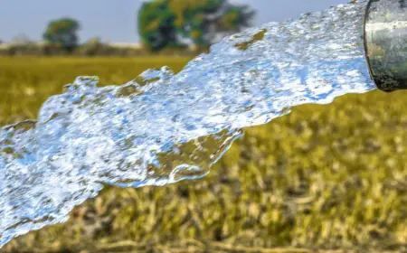وزير المياه: حصة الأردني ستنخفض للنصف دون الناقل الوطني