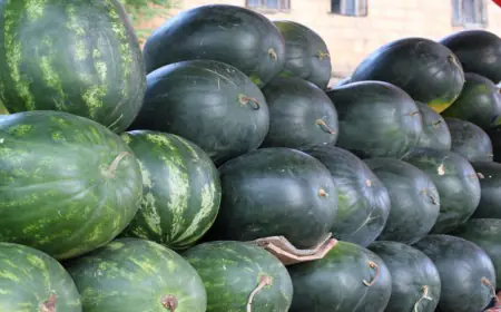 أمانة عمان الكبرى تبدأ استقبال طلبات تصاريح بيع البطيخ والشمام