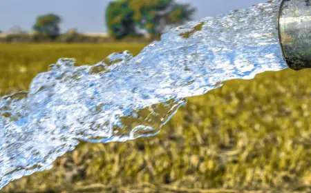 الحكومة توافق على نقل تمويل ألماني بـ 25 مليون يورو للناقل الوطني للمياه