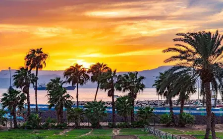 ارتفاع درجات الحرارة تدريجيا هذا الأسبوع