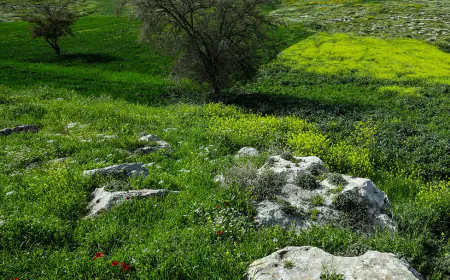 أجواء دافئة.. والحرارة تلامس الـ 30 في عمان (التفاصيل)