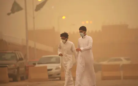 بالفيديو.. عاصفة غبارية تضرب وادي الدواسر وتحجب النهار في السعودية