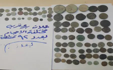 إحباط تهريب 204 قطع أثرية عبر مطار الملكة علياء الدولي