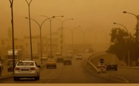 طقس ربيعي.. ومنخفض خماسيني الجمعة