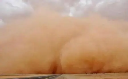 منخفض خماسيني.. وغبار وزخات مطر متوقعة (التفاصيل)