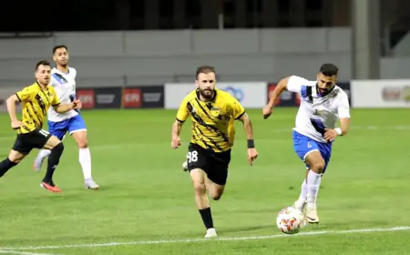 نتائج الجولة الـ 17 من دوري المحترفين وترتيب الفرق