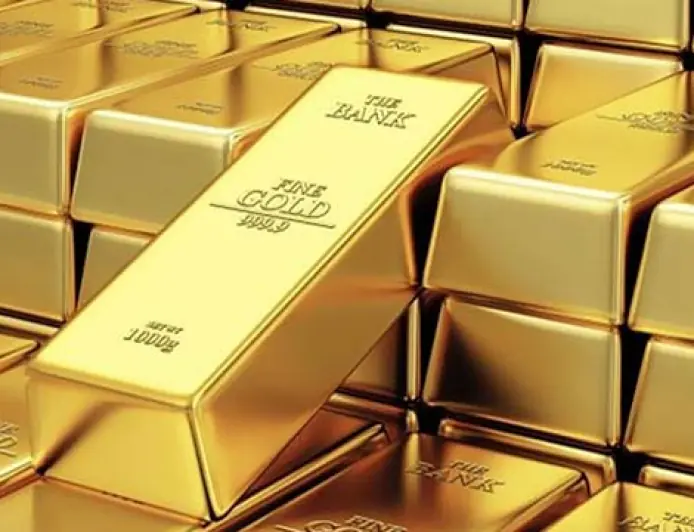 قفزة قياسية في احتياطيات الذهب والعملات الأجنبية لدى البنك المركزي