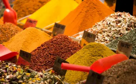 التوابل السحرية.. سر إبطاء الشيخوخة وتحسين جودة الحياة