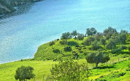ارتفاع تدريجي على درجات الحرارة خلال الأسبوع المقبل