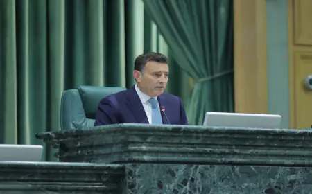 الصفدي: من يتطاول على الجيش ليس منا وليدفن رأسه بالخيبة